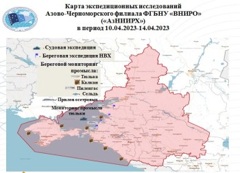 Постер для: экспедиционные исследования азово-черноморского филиала вниро с 10 по 14 апреля
