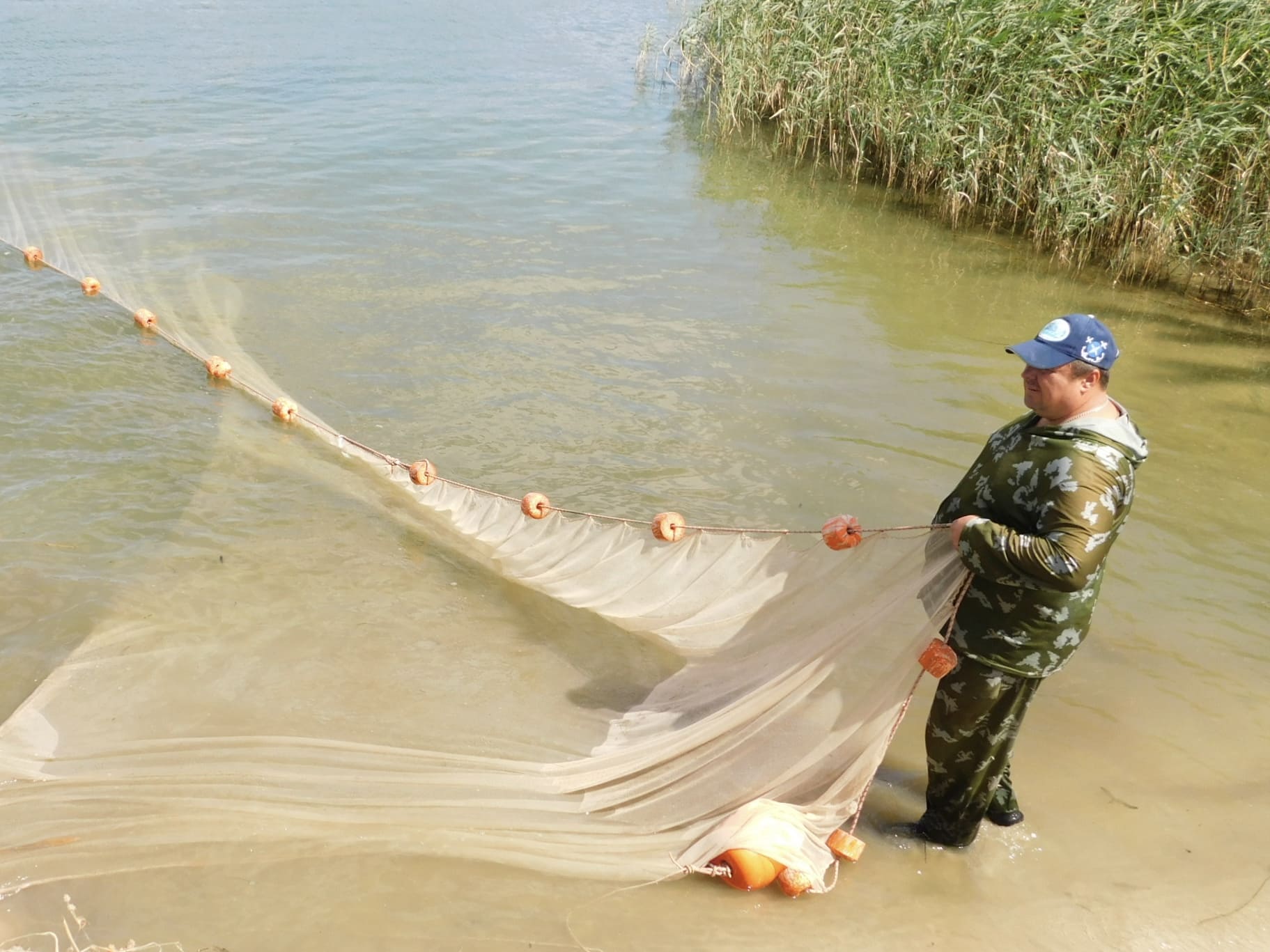 Учёные исследуют запас молоди проходных и полупроходных рыб в Дону