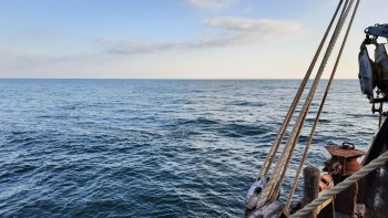 Постер для: в азовском море увеличиваются показатели русского осетра