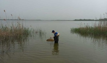 Учёные исследовали состояние рыбных запасов в водохранилищах Краснодарского края