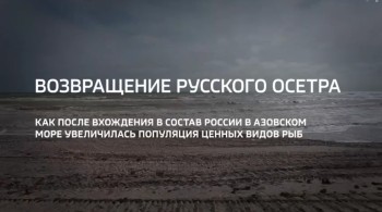 Постер к материалу "Возвращение русского осётра в Азовское море"