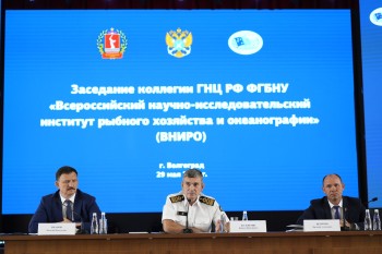 Постер для: ключевые моменты коллегии вниро