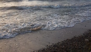 Постер для: об объявлении заморного периода в азовском море