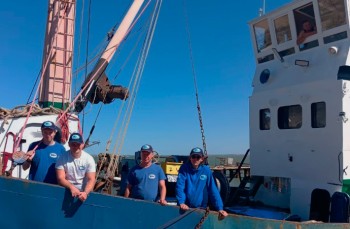 Завершилась учётная съёмка молоди хамсы и тюльки в Азовском море