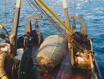 Постер для: учёные вниро провели наблюдения за изменением температуры поверхностного слоя воды в чёрном море и ее влияния на промысел в осенний период 2025 года 