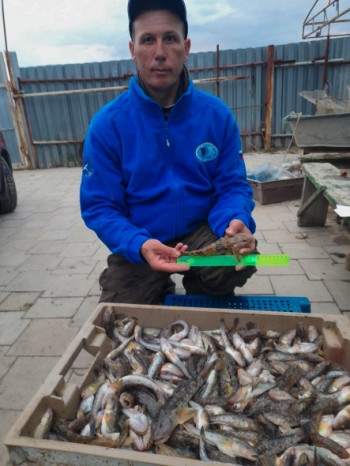 Новая глава в изучении водных экосистем Северного Приазовья