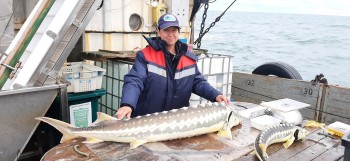 Постер к материалу "Стратегия устойчивого развития Приазовья до 2040 года утверждена Правительством Российской Федерации. Науке поставлены важные задачи развития рыбохозяйственного потенциала Азовского моря"