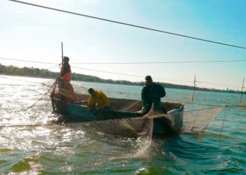 Постер к материалу "Актуальные вопросы организации рыболовства и изучения водных биоресурсов подняты на совещании с рыбаками регионов Северного Приазовья"