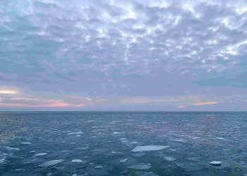 Постер к материалу "Водохозяйственная и ледовая обстановка на Нижнем Дону и в Азовском море на 16 февраля 2026 года"