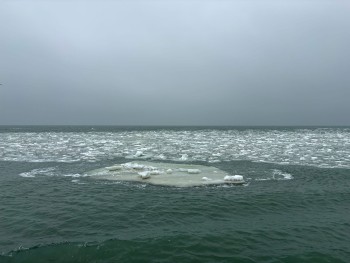 Постер к материалу "Водохозяйственная и ледовая обстановка на Нижнем Дону и в Азовском море на 24 февраля 2026 года"
