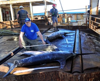 Научные наблюдения за промыслом в Центрально-Восточной Атлантике под эгидой ВНИРО