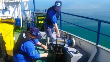 Постер к материалу "Водохозяйственная обстановка и термический режим на Нижнем Дону и в Азовском море на 21 апреля 2026 г."