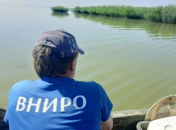 Мониторинг азовских лиманов Краснодарского края: результаты весенней экспедиции Южного филиала ВНИРО