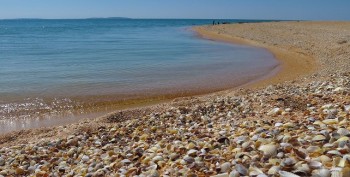 Постер для: об объявлении заморного периода в азовском море