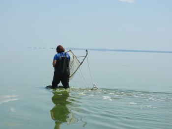 Научная экспедиция ВНИРО исследовала водные экосистемы Краснодарского края