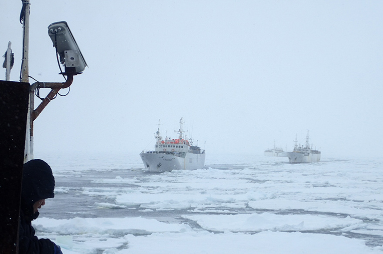 Проект азниирх - научное сотрудичество в Антарктике