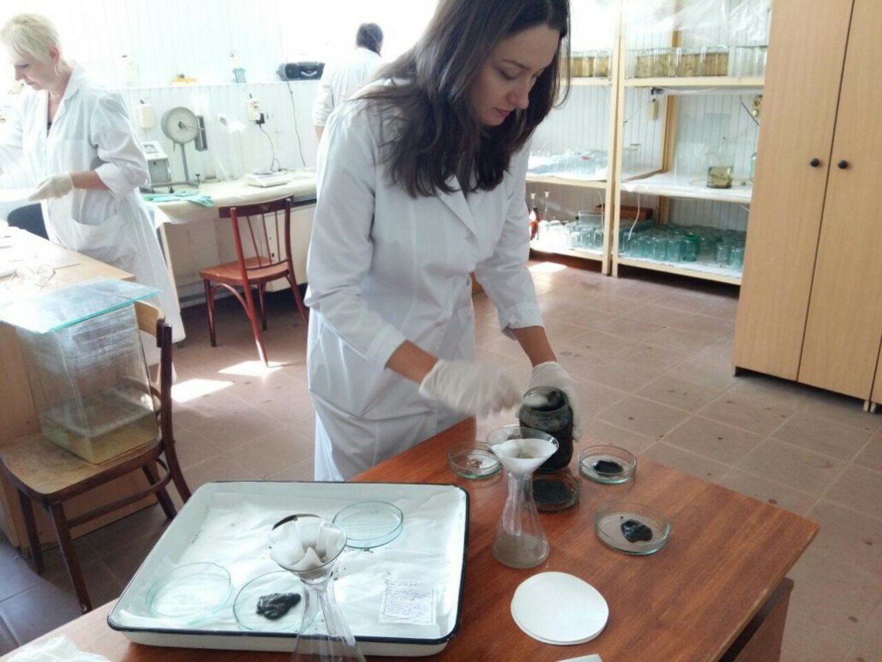 Обработка проб грунта сотрудниками лаборатории токсикологии