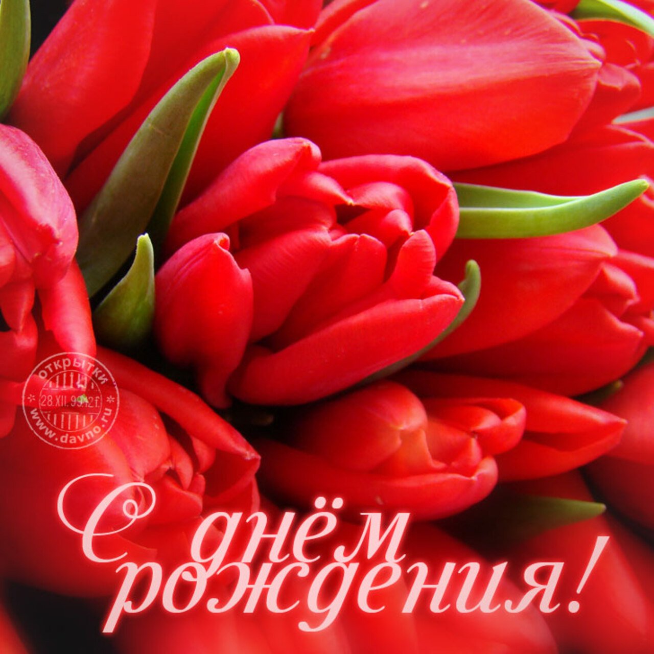 Открытка с днем рождения тюльпаны с пожеланиями. С днём рождения тюльпаны. С днем рождения цветы. Открытка с днем рождения цветы тюльпаны. С днём рождениятюльпаны.